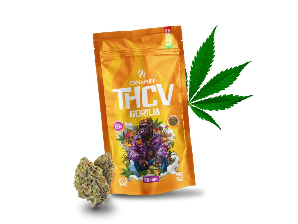 Excellent supplier product showcase